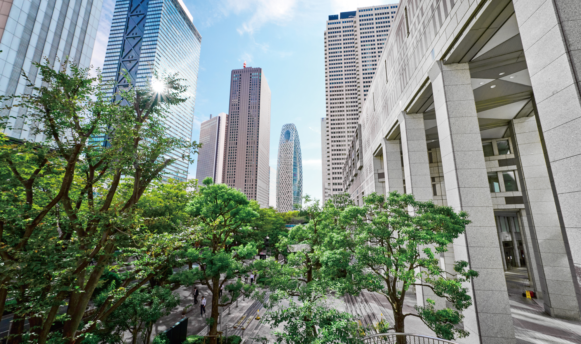 ハトウェブが笑顔咲かす